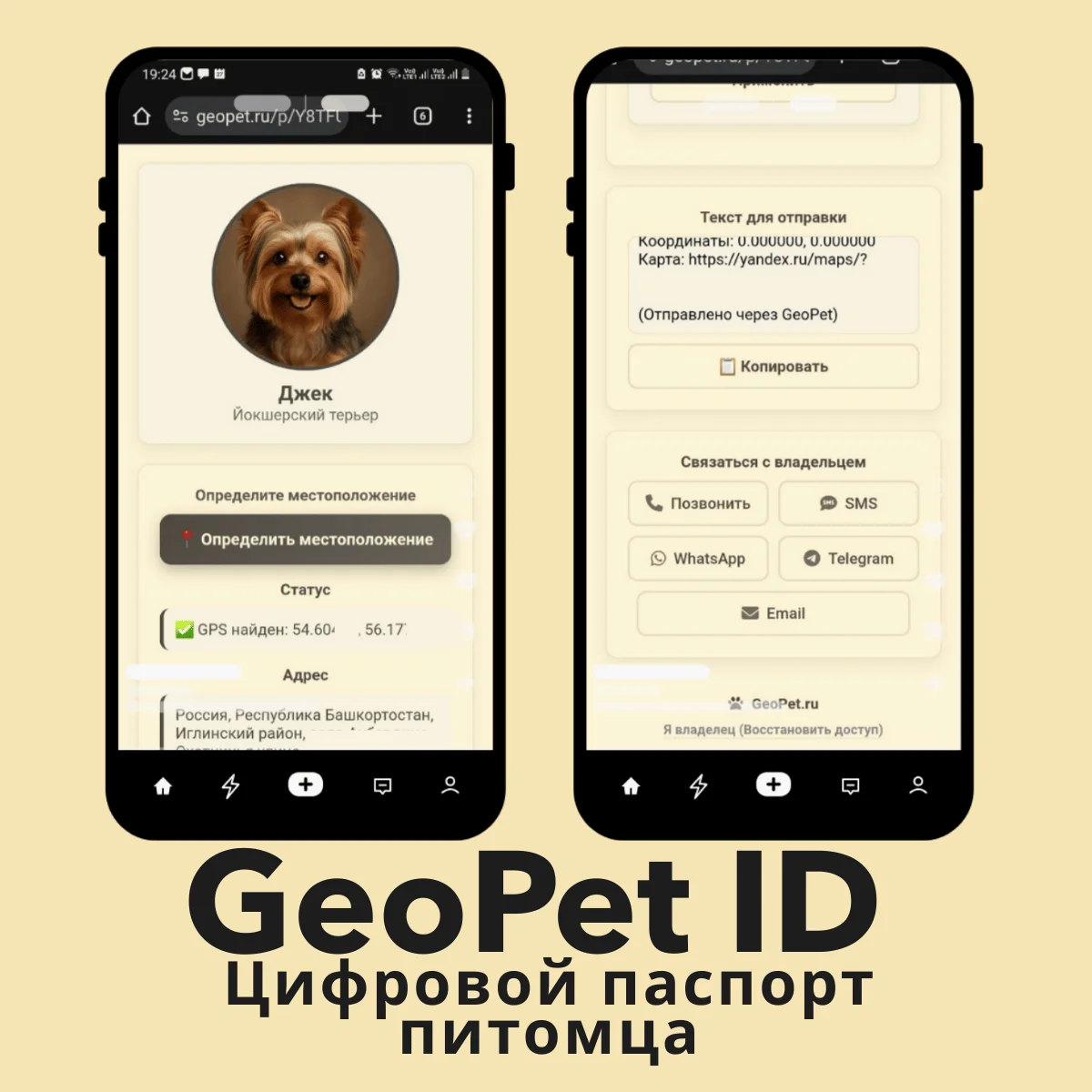 Адресник для собак с QR цифровой паспорт питомца GeoPet ID электронная лицензия